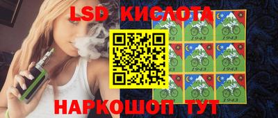 spice Кингисепп