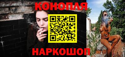 spice Кингисепп