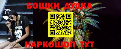 spice Кингисепп