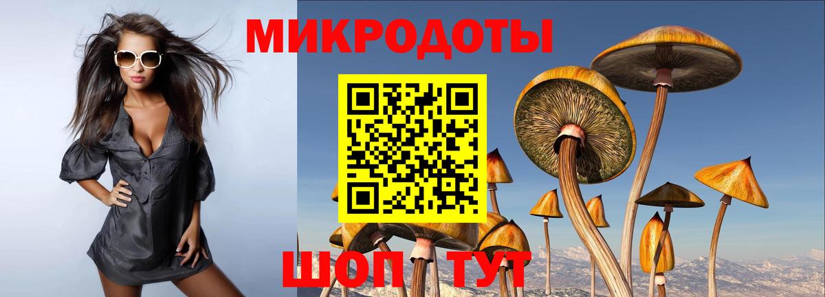 Псилоцибиновые грибы Magic Shrooms Красногорск